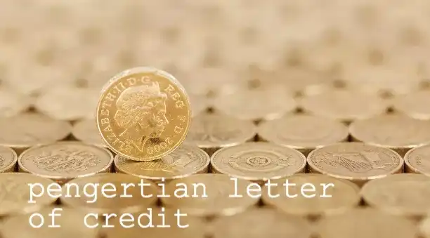 Pengertian Letter Of Credit, Fungsi dan Jenisnya